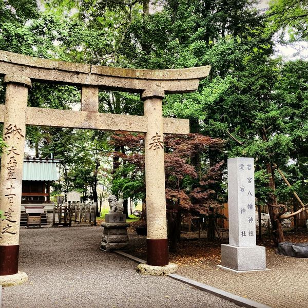 A path of stones leading through a tranquil garden.